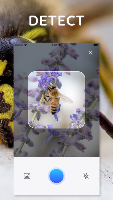 AI Photo App - Bug Identifier screenshot 3