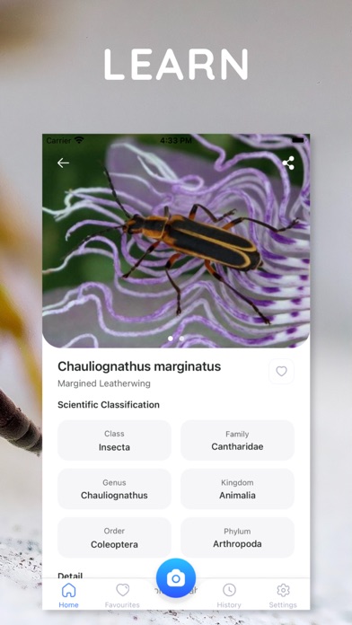 AI Photo App - Bug Identifier screenshot 1