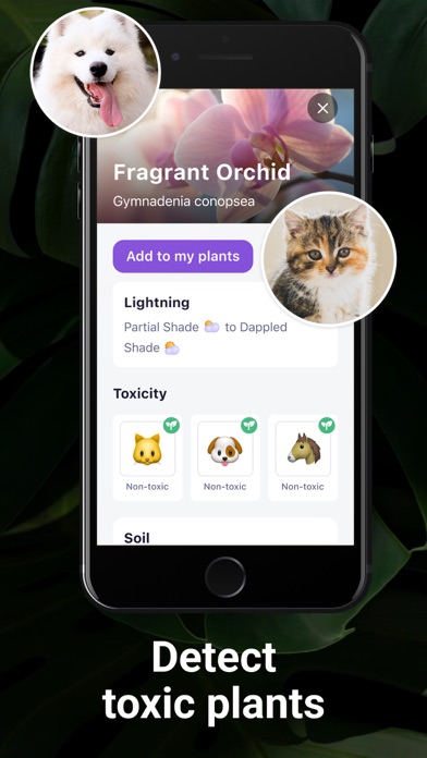 AI Plant Identifier・Care－Lily screenshot 2