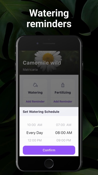 AI Plant Identifier・Care－Lily screenshot 3