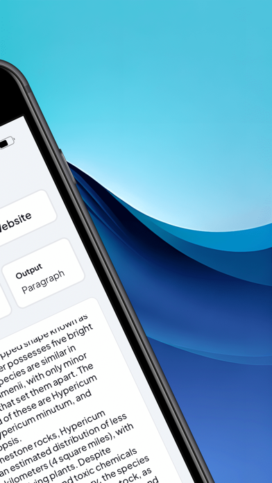 AI Summarizer: Text & Web screenshot 3