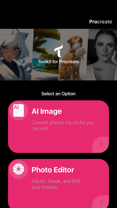 AI Toolkit for Procreate screenshot 4