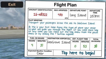 Airplane Pilot Flight Sim 3D screenshot 1