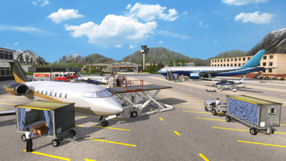 Airplane Pro: Flight Simulator screenshot 1