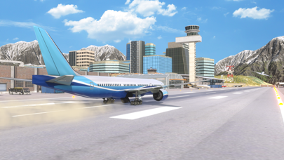 Airplane Pro: Flight Simulator screenshot 2