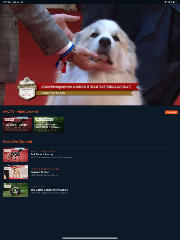 AKC.TV screenshot 8