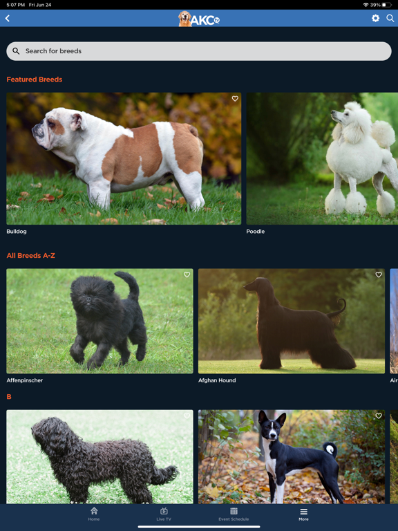 AKC.TV screenshot 3