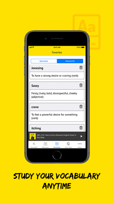 All Ears English Listening screenshot 4