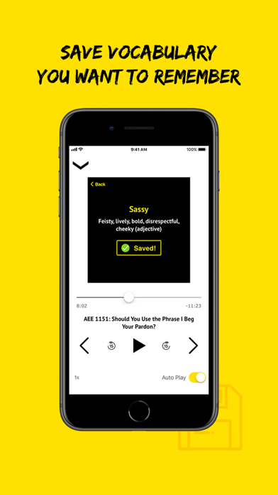 All Ears English Listening screenshot 5