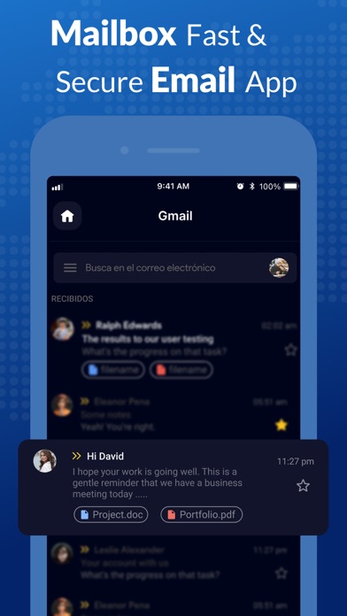 All Email Access screenshot 4