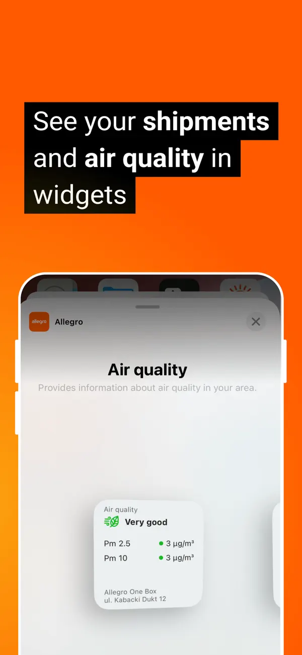 Allegro screenshot 1