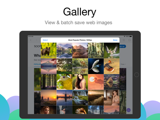 Alook Browser - 8x Speed screenshot 7