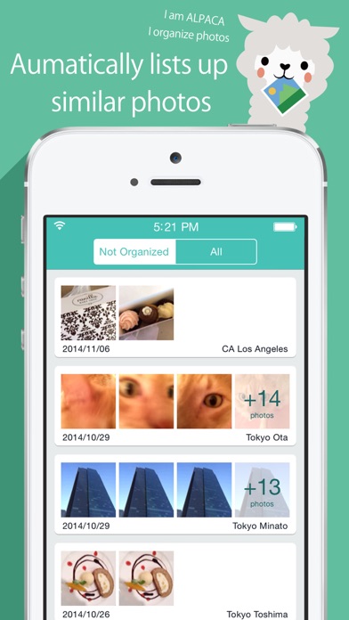 ALPACA - delete photos efficiently, organize camera roll and save memory screenshot 4