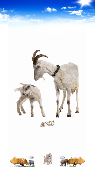 Amazing Animal Sounds screenshot 1