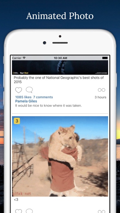 Amazing Fact : Interesting things around the world screenshot 2