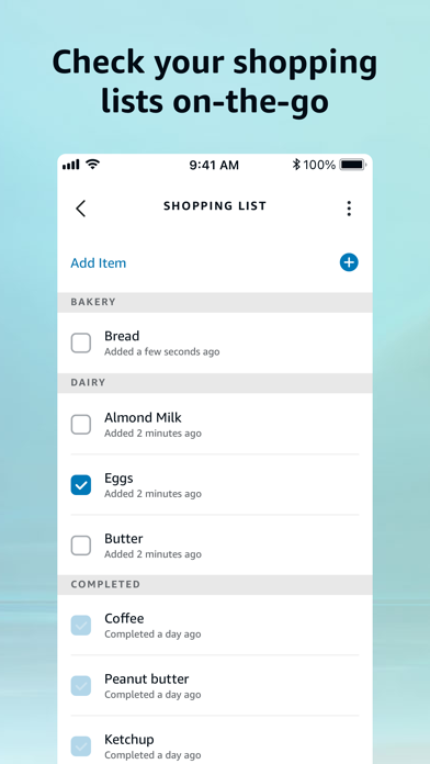 Amazon Alexa screenshot 2