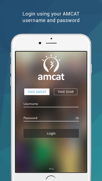 AMCAT Test screenshot 5