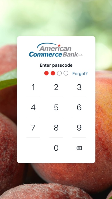 American Commerce screenshot 3