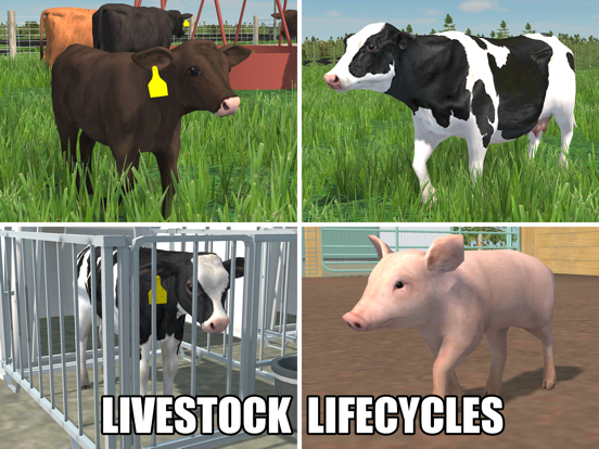 American Farming screenshot 8