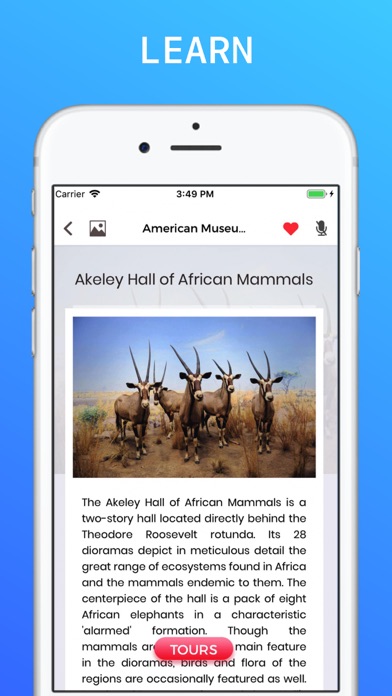 American Museum of Nat History screenshot 3