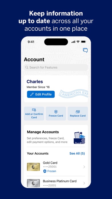 Amex screenshot 7
