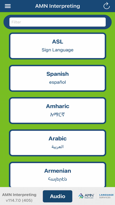 AMN Interpreting screenshot 2