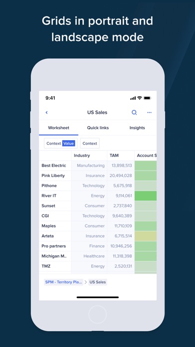 Anaplan screenshot 1