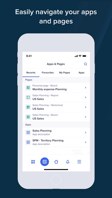 Anaplan screenshot 5