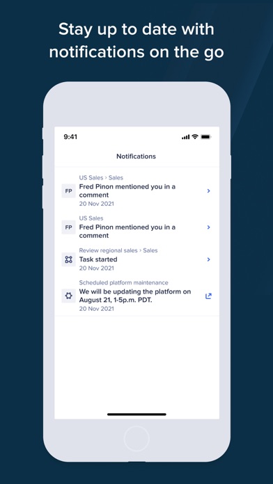 Anaplan screenshot 4