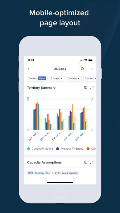 Anaplan screenshot 2