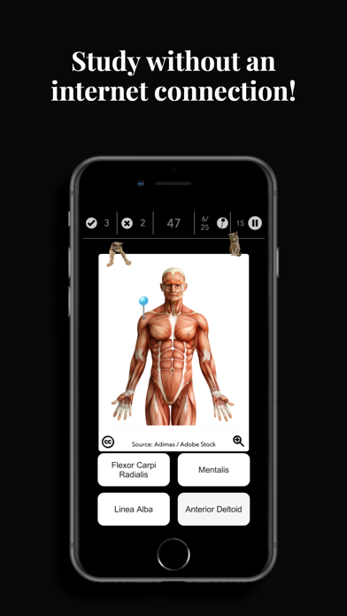 Anatomist – The Anatomy Game screenshot 5