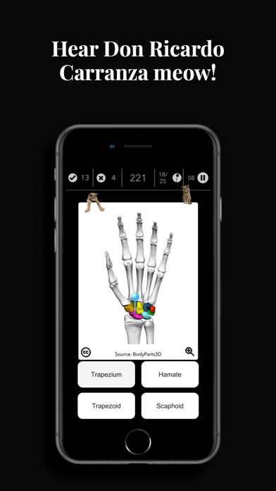 Anatomist – The Anatomy Game screenshot 4