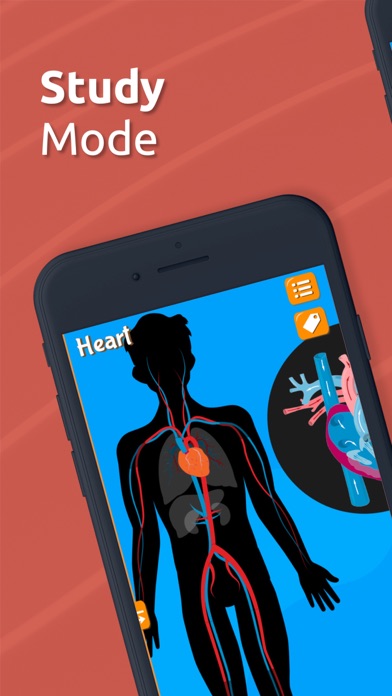 Anatomix - Human Body Systems screenshot 3