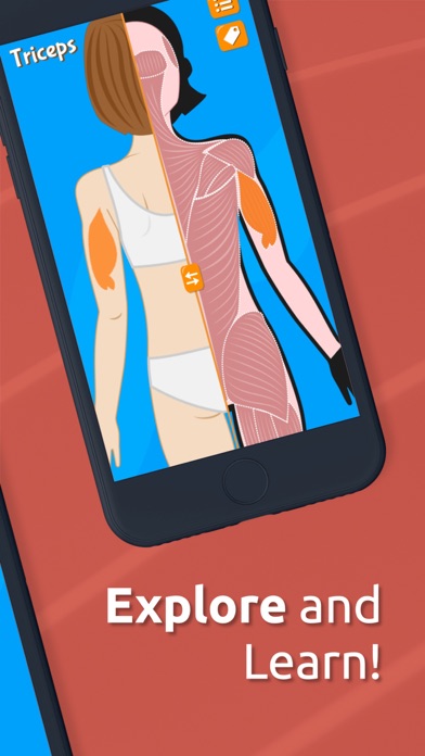 Anatomix - Human Body Systems screenshot 2