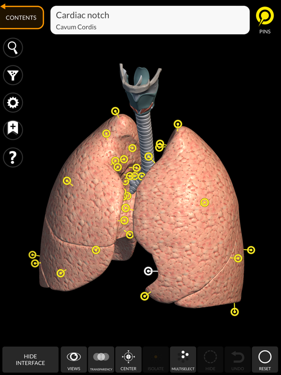 Anatomy 3D Atlas screenshot 3