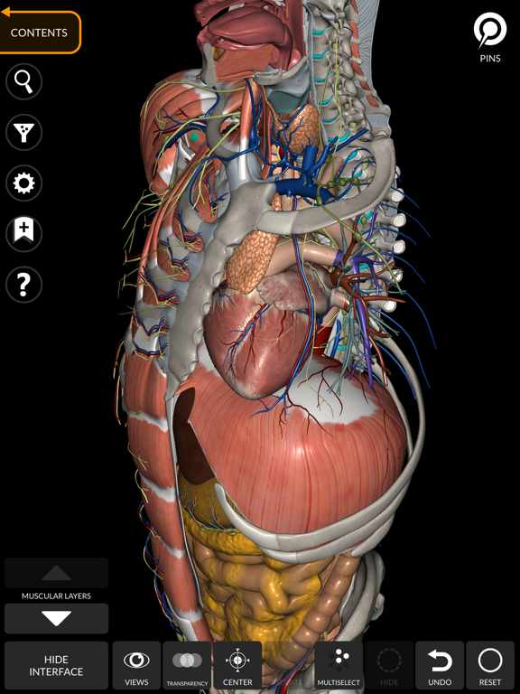 Anatomy 3D Atlas screenshot 4