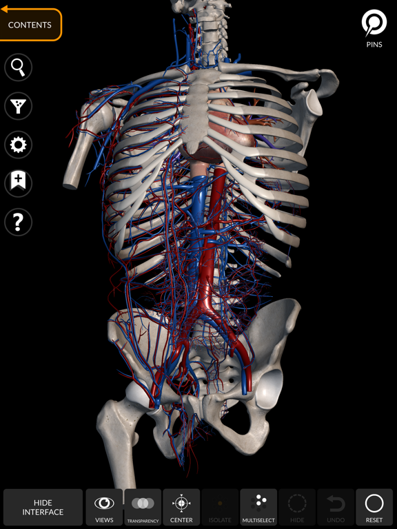 Anatomy 3D Atlas screenshot 8
