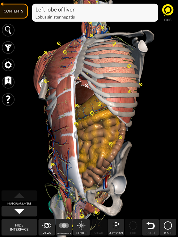 Anatomy 3D Atlas screenshot 10