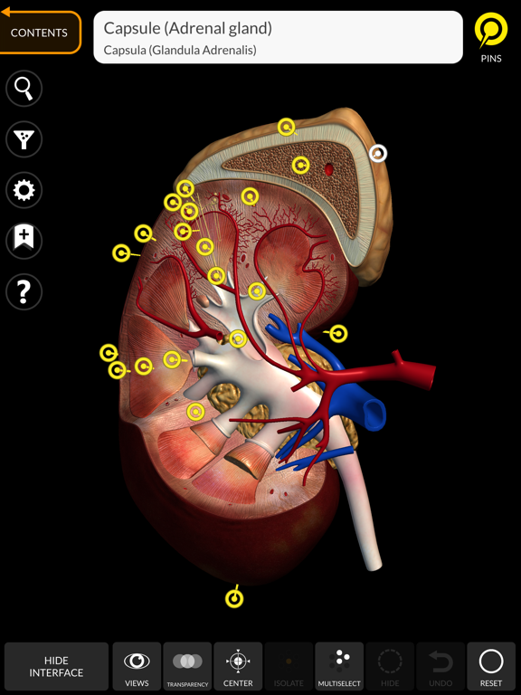 Anatomy 3D Atlas screenshot 7
