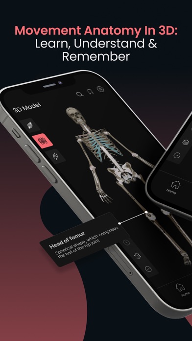 Anatomy by M&M screenshot 5