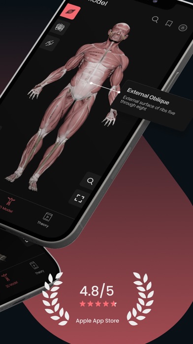 Anatomy by M&M screenshot 4
