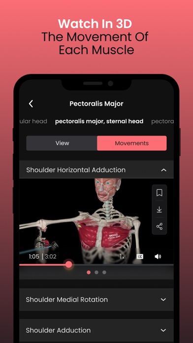 Anatomy by M&M screenshot 3