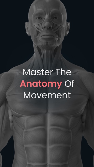 Anatomy by M&M screenshot 6