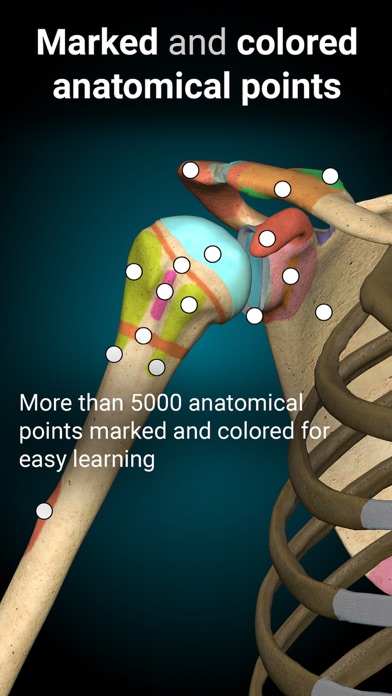 Anatomy Learning - 3D Anatomy screenshot 2