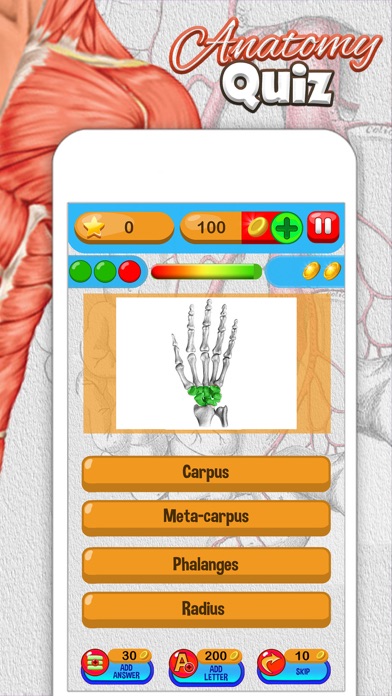 Anatomy Quiz - Science Pro Brain Education Game screenshot 3
