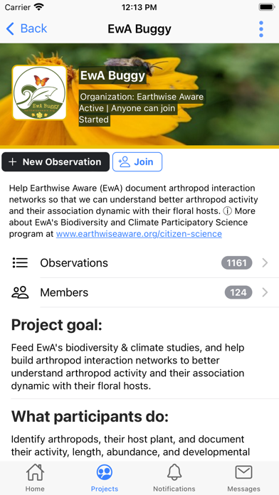 Anecdata.org screenshot 2