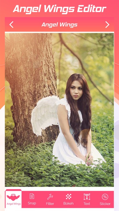 Angel Wings Editor screenshot 5