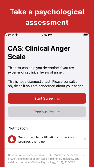 Anger Test (Clinical) screenshot 3
