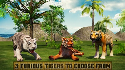 Angry Tiger Revenge 2016 screenshot 4