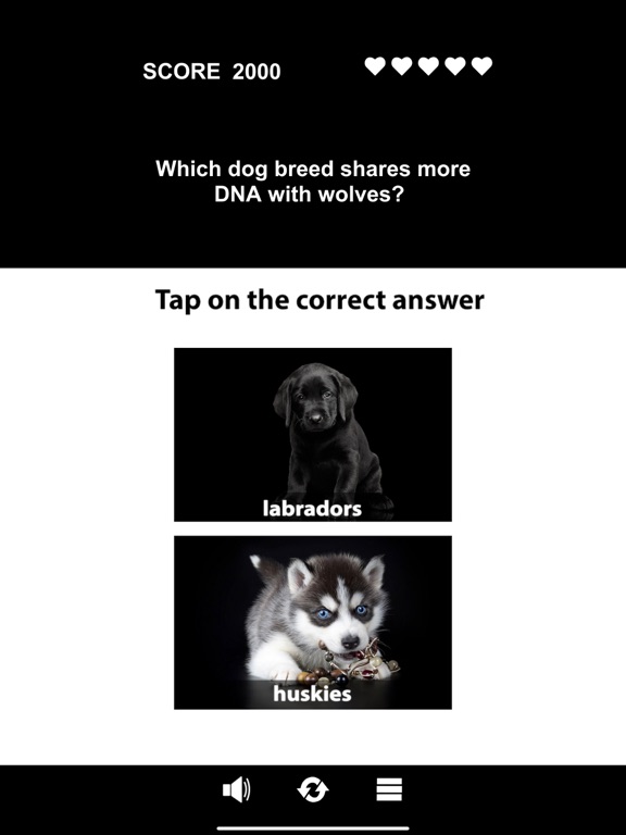 Animal Class screenshot 8